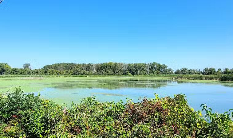 Bay-Zil Rail Trail - Saginaw, MI