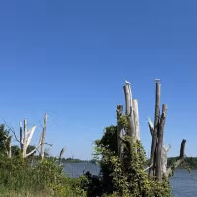 Bay-Zil Rail Trail - Saginaw, MI