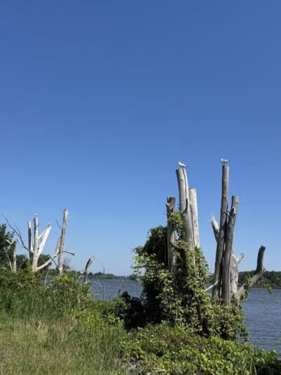 Bay-Zil Rail Trail - Saginaw, MI
