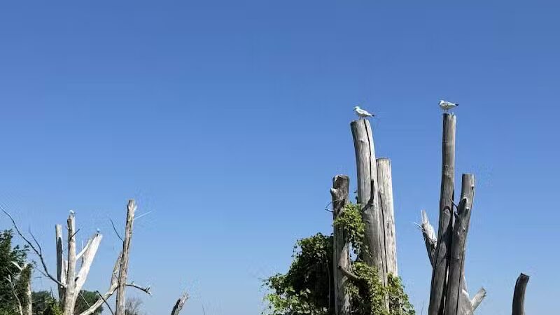 Bay-Zil Rail Trail - Saginaw, MI