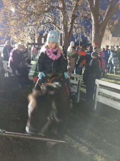 Borchard Park - Saginaw, MI