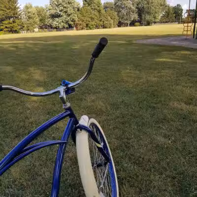 Briarwood Park - Saginaw, MI