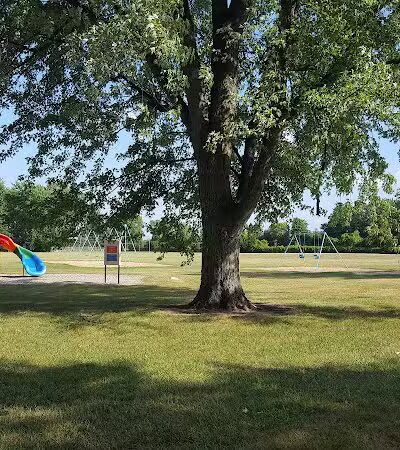 Briarwood Park - Saginaw, MI