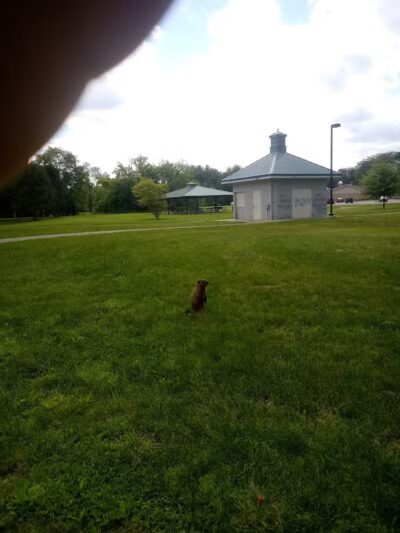 Fordney Park - Saginaw, MI