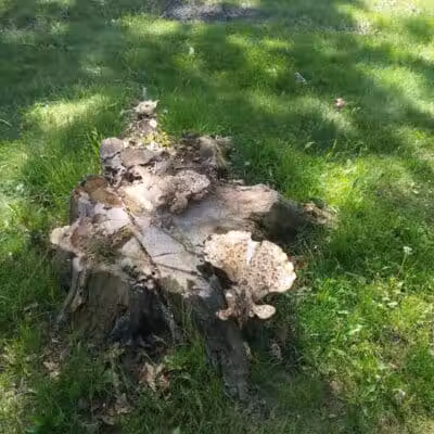 Fordney Park - Saginaw, MI