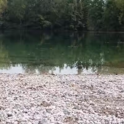 Harvey Randall Wickes Park - Saginaw, MI
