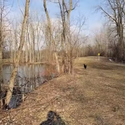 Harvey Randall Wickes Park - Saginaw, MI