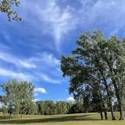 Harvey Randall Wickes Park - Saginaw, MI