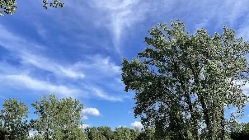 Harvey Randall Wickes Park - Saginaw, MI