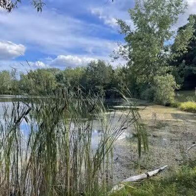 Harvey Randall Wickes Park - Saginaw, MI
