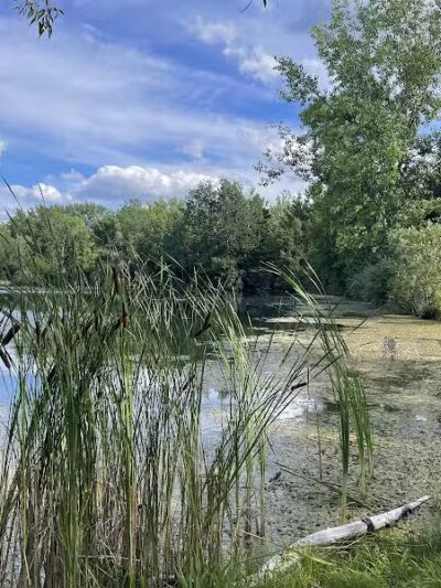 Harvey Randall Wickes Park - Saginaw, MI