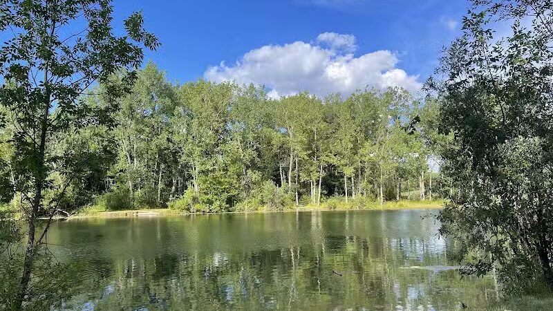 Harvey Randall Wickes Park - Saginaw, MI