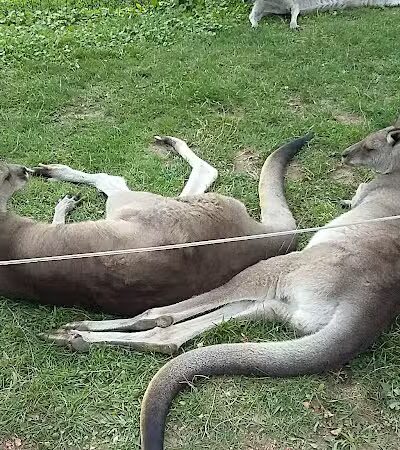 Hoyt Park - Saginaw, MI