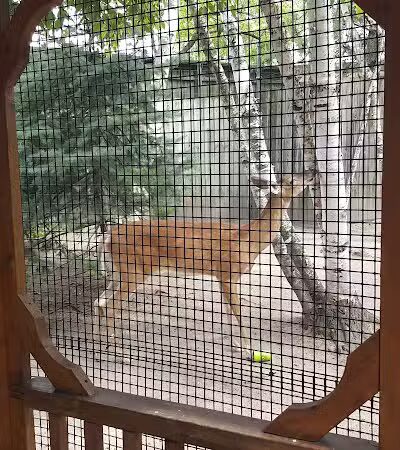 Hoyt Park - Saginaw, MI