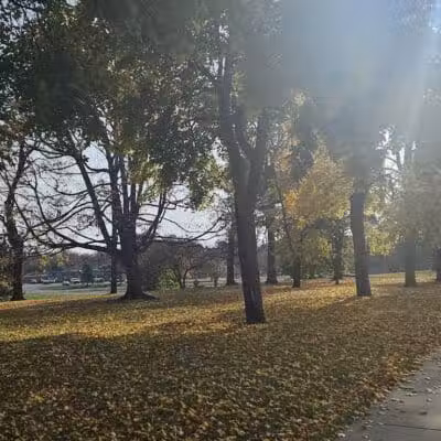 Hoyt Park - Saginaw, MI