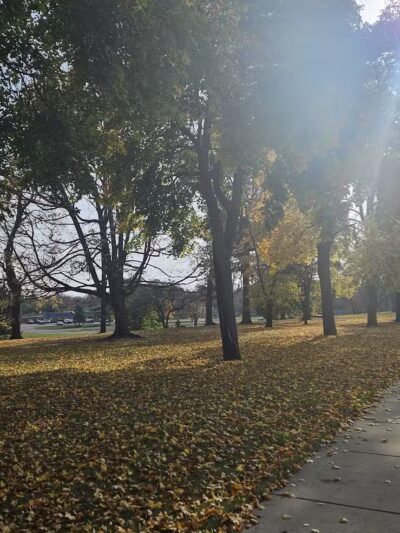 Hoyt Park - Saginaw, MI