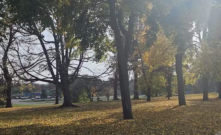 Hoyt Park - Saginaw, MI