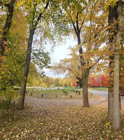 Imerman Memorial Park - Saginaw, MI
