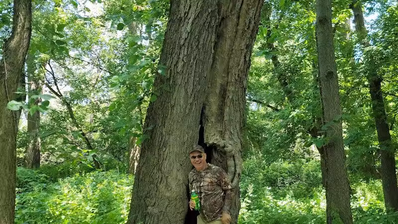 Imerman Memorial Park - Saginaw, MI