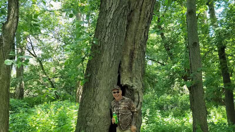 Imerman Memorial Park - Saginaw, MI