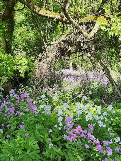 Imerman Memorial Park - Saginaw, MI