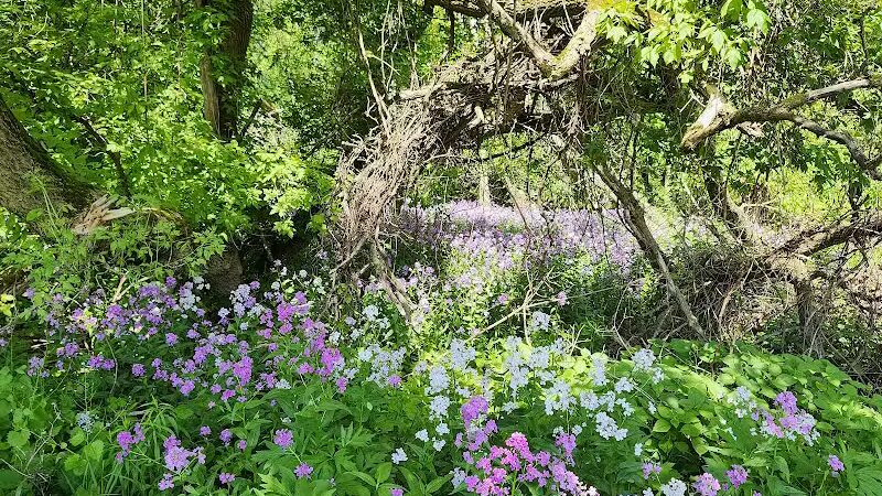 Imerman Memorial Park - Saginaw, MI