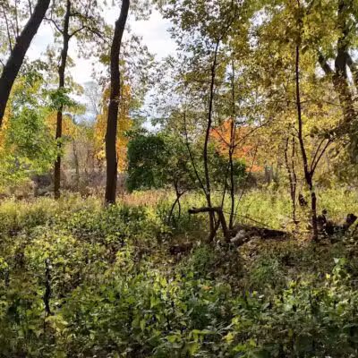 Imerman Memorial Park - Saginaw, MI