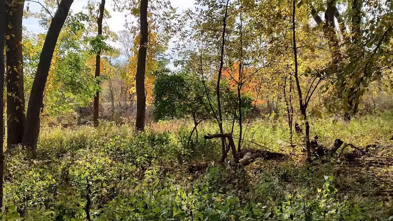 Imerman Memorial Park - Saginaw, MI