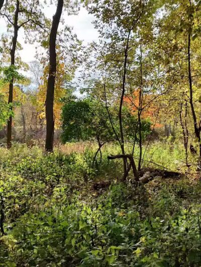 Imerman Memorial Park - Saginaw, MI