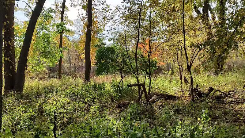 Imerman Memorial Park - Saginaw, MI