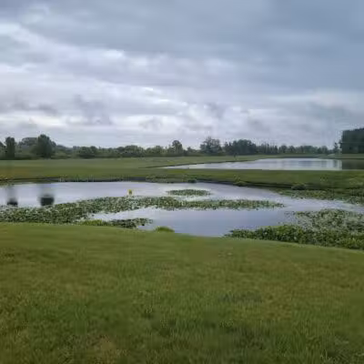 Krossroads Park (Rainbow Park) - Saginaw, MI