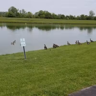 Krossroads Park (Rainbow Park) - Saginaw, MI