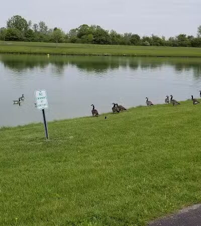 Krossroads Park (Rainbow Park) - Saginaw, MI