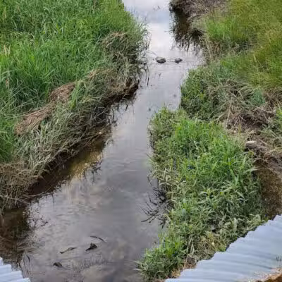Krossroads Park (Rainbow Park) - Saginaw, MI