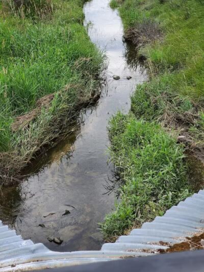 Krossroads Park (Rainbow Park) - Saginaw, MI