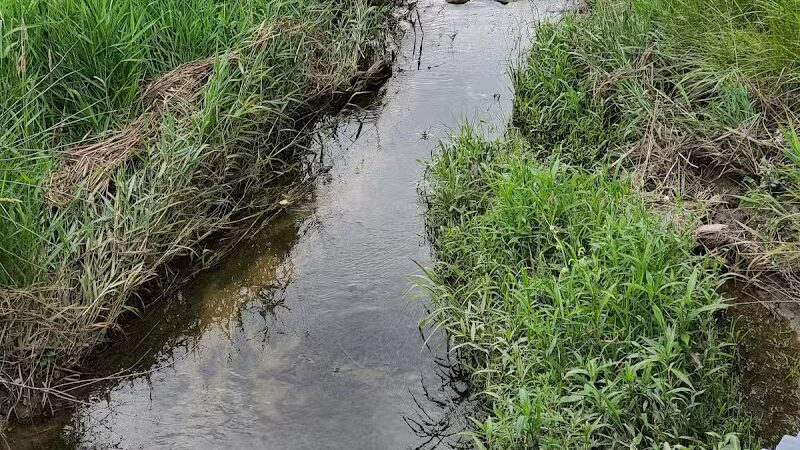 Krossroads Park (Rainbow Park) - Saginaw, MI
