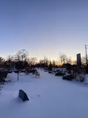 Hoyt Park - Saginaw, MI