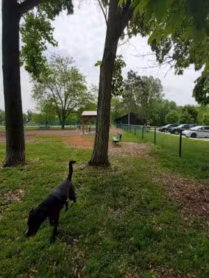 Imerman Memorial Park - Saginaw, MI