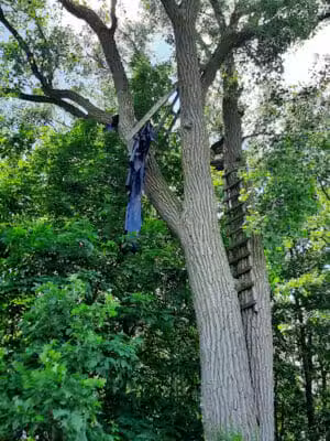 Public Walk/Bike Trail - Saginaw, MI
