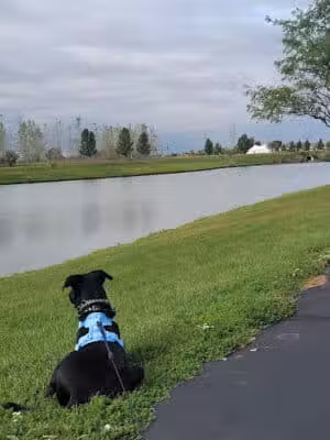 rainbow park - Saginaw, MI