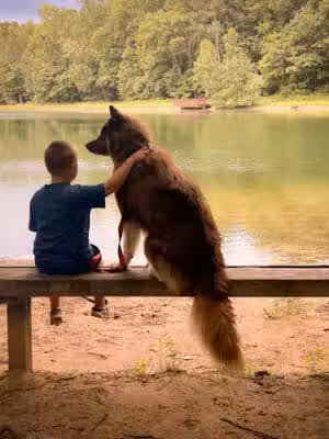 Roethke Park - Saginaw, MI