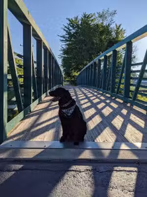 Saginaw Rail Trail Parking and Trail Head - Saginaw, MI