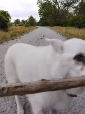 Saginaw River Headwaters Rec Area - Saginaw, MI