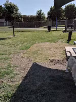 Willow Creek Paw Park - Saginaw, MI