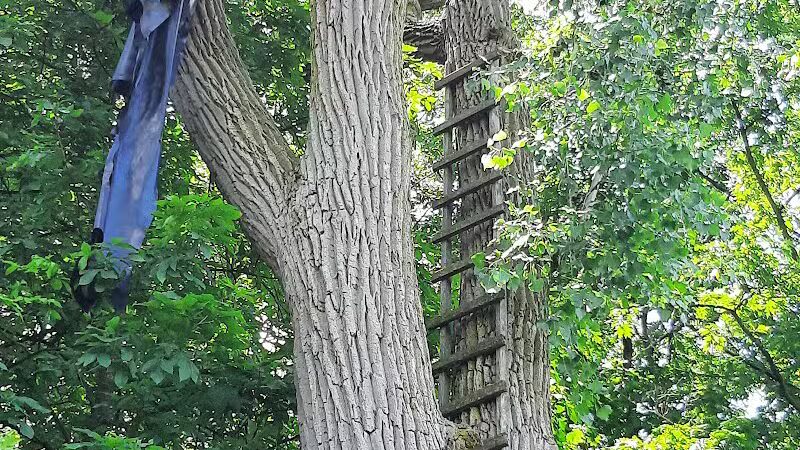 Public Walk/Bike Trail - Saginaw, MI
