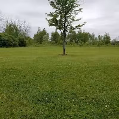 rainbow park - Saginaw, MI