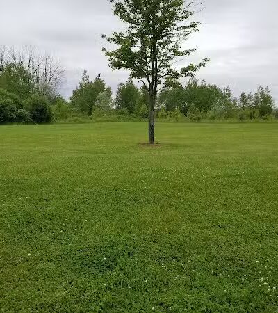 rainbow park - Saginaw, MI