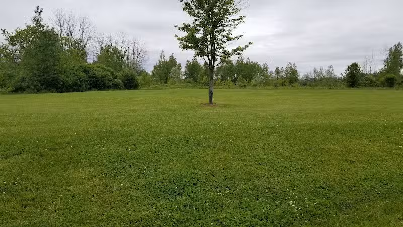 rainbow park - Saginaw, MI