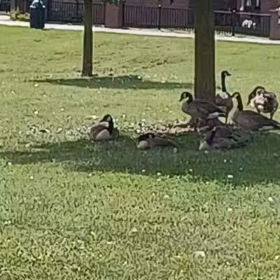 rainbow park - Saginaw, MI