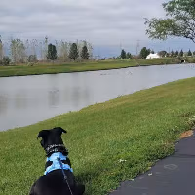 rainbow park - Saginaw, MI